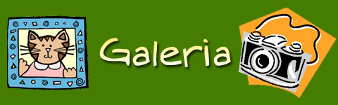 banner_galeria
